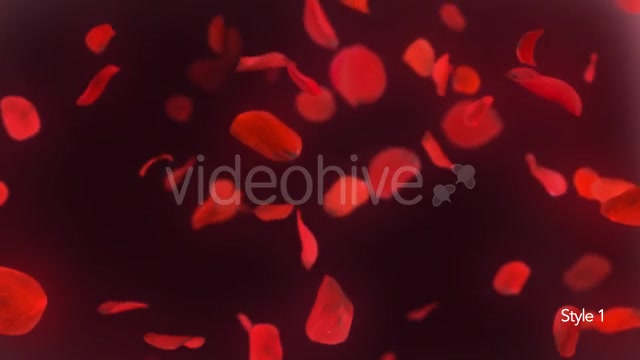 Falling Red Rose Petals Background Videohive 14390901 Motion Graphics Image 8