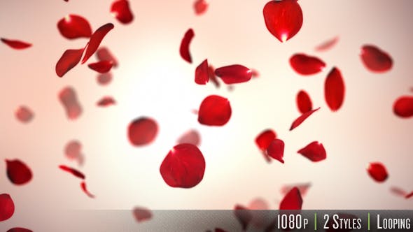 Falling Red Rose Petals Background - Videohive 14390901 Download