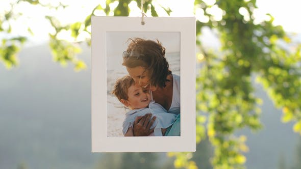 Family Tree Photo Gallery 4K - Download 22613411 Videohive