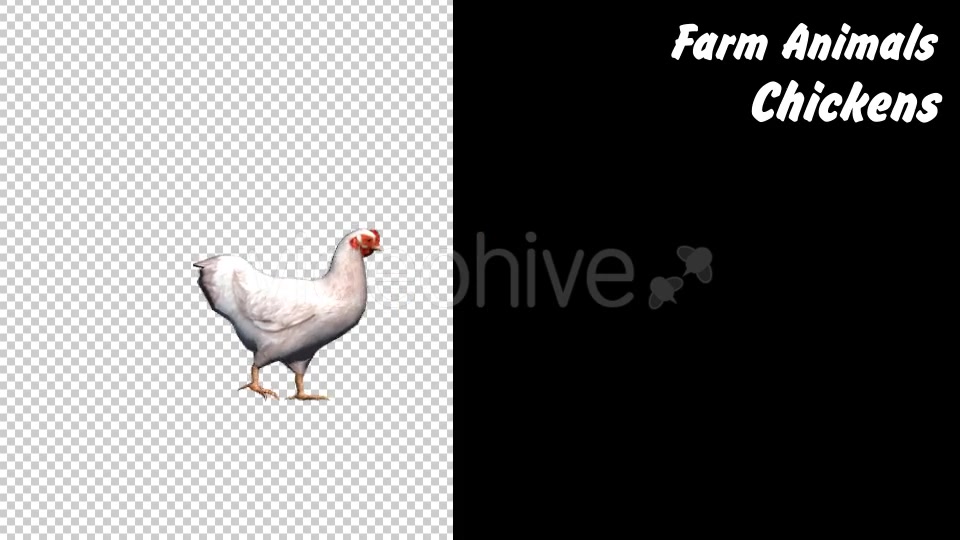 Farm Animals Chickens 4 Scene - Download Videohive 18293647
