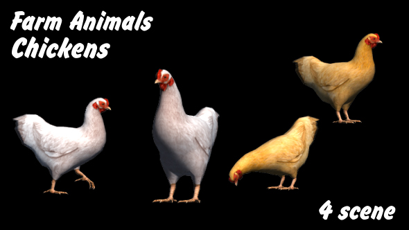 Farm Animals Chickens 4 Scene - Download Videohive 18293647