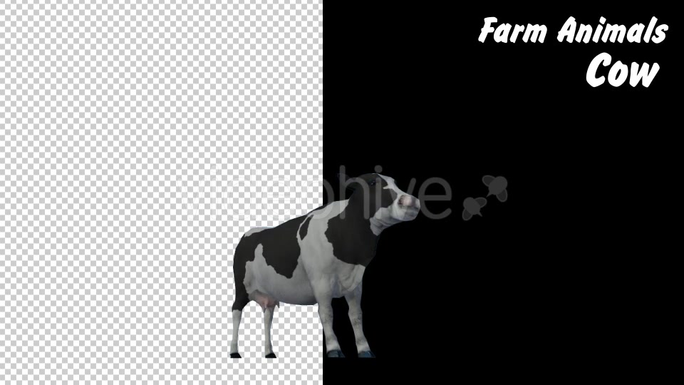 Farm Animals Cow 2 Scene - Download Videohive 18277716