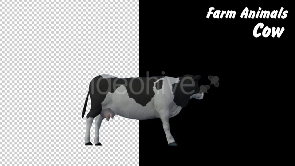 Farm Animals Cow 2 Scene - Download Videohive 18277716