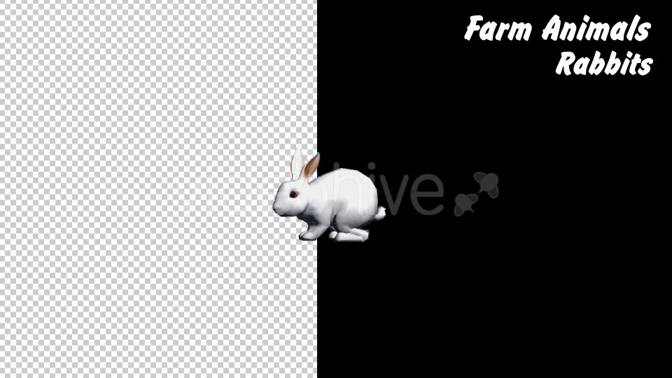 Farm Animals Rabbits 2 Scene - Download Videohive 18293794