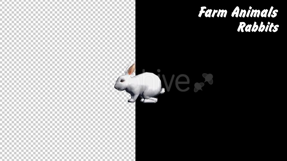 Farm Animals Rabbits 2 Scene - Download Videohive 18293794