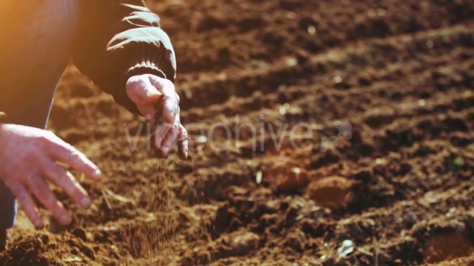 Farmer Examining Soil  Videohive 15515514 Stock Footage Image 10