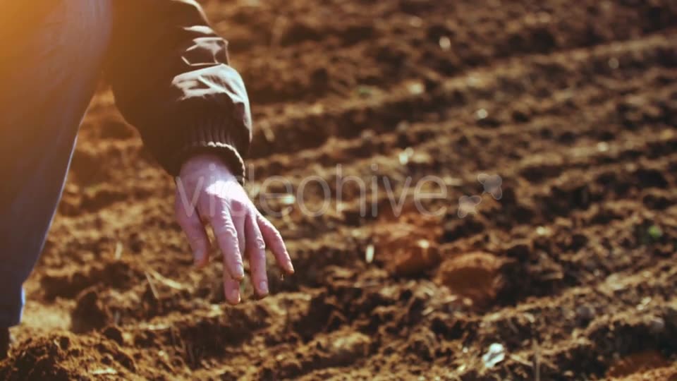 Farmer Examining Soil  Videohive 15515514 Stock Footage Image 11