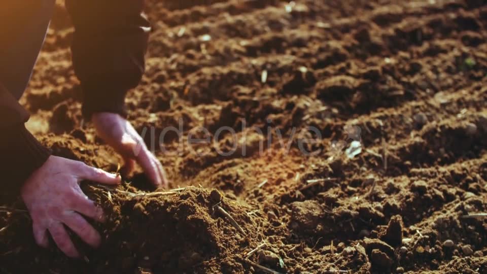 Farmer Examining Soil  Videohive 15515514 Stock Footage Image 2