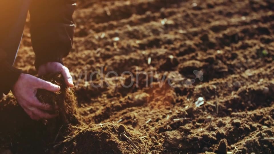 Farmer Examining Soil  Videohive 15515514 Stock Footage Image 3