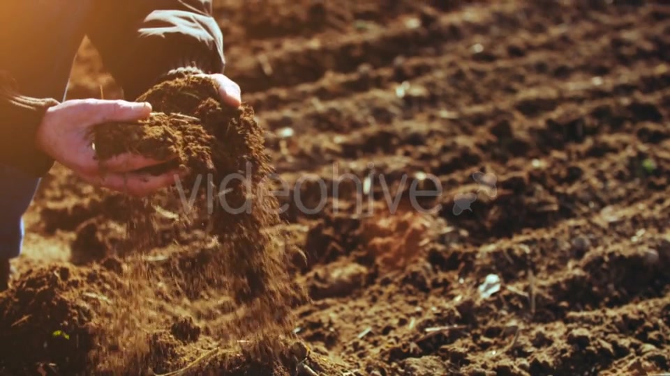 Farmer Examining Soil  Videohive 15515514 Stock Footage Image 4