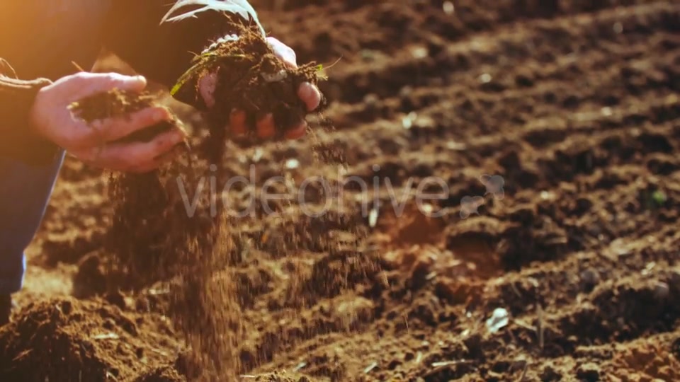 Farmer Examining Soil  Videohive 15515514 Stock Footage Image 5