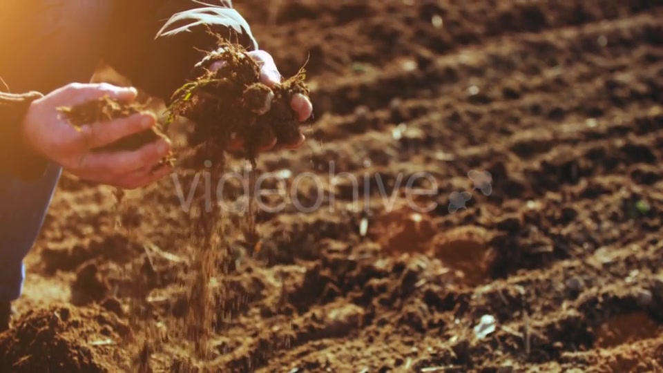 Farmer Examining Soil  Videohive 15515514 Stock Footage Image 6