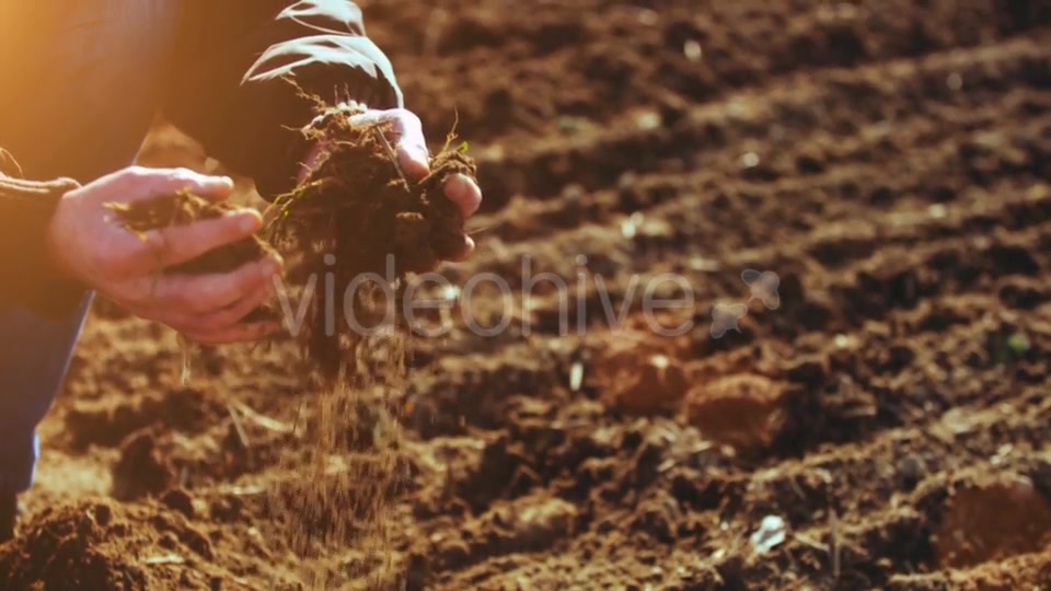 Farmer Examining Soil  Videohive 15515514 Stock Footage Image 7
