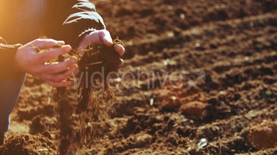Farmer Examining Soil  Videohive 15515514 Stock Footage Image 8