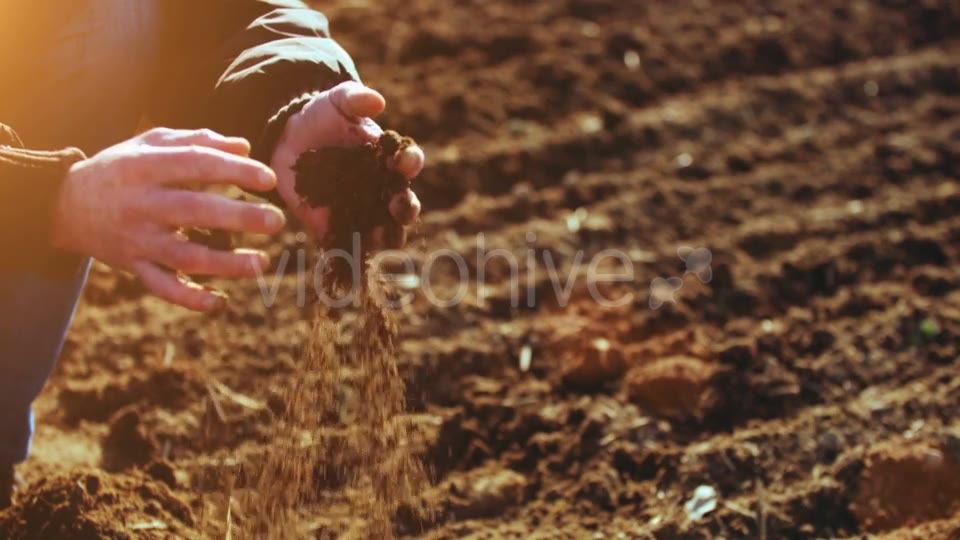 Farmer Examining Soil  Videohive 15515514 Stock Footage Image 9