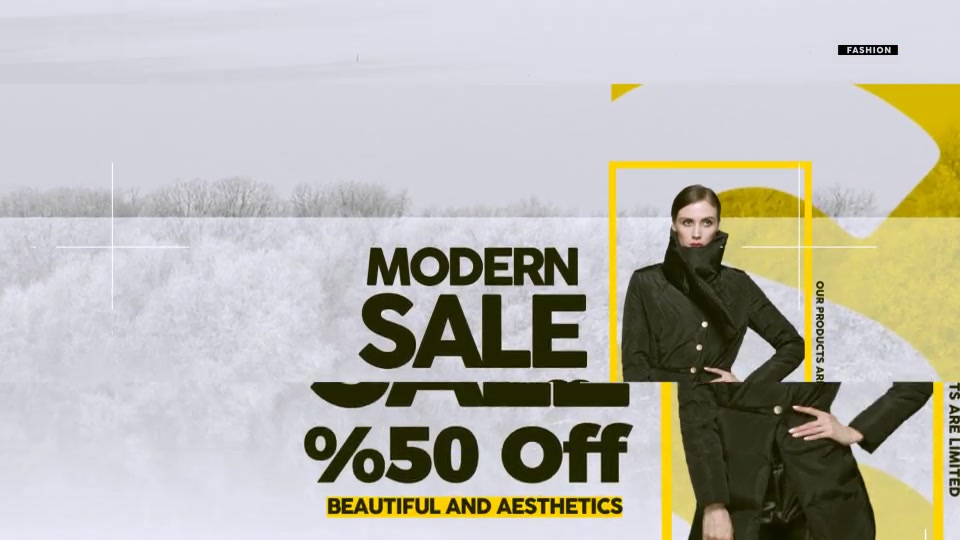Fashion Market Videohive 21290539 After Effects Image 9