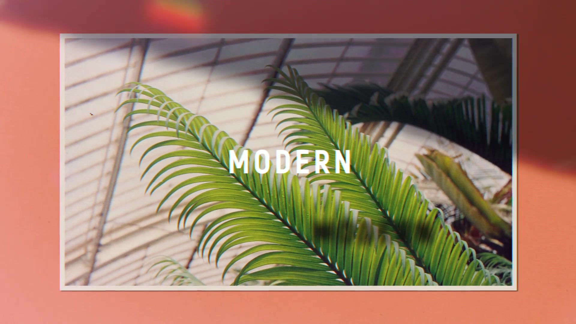 Fashion Modern Promo That Minimal Shadow Videohive 24724695 After Effects Image 3