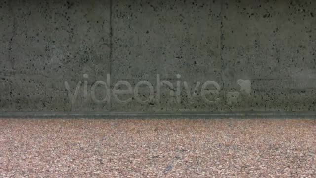 Fast Sidewalk Feet HD Loop  Videohive 111930 Stock Footage Image 1