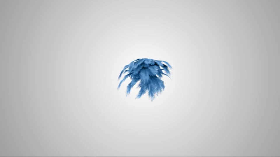 Feathers Logo Reveal - Download Videohive 13902219