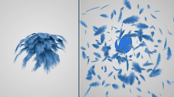 Feathers Logo Reveal - Download Videohive 13902219