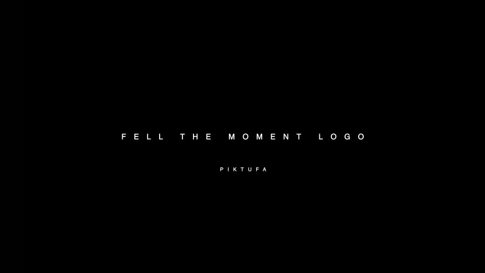 Feel The Moment Logo Videohive 10639304 After Effects Image 1