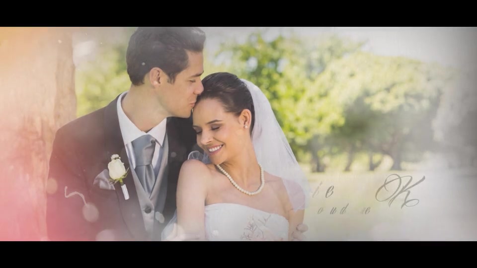 Feels Like a Wedding Day - Download Videohive 7558664