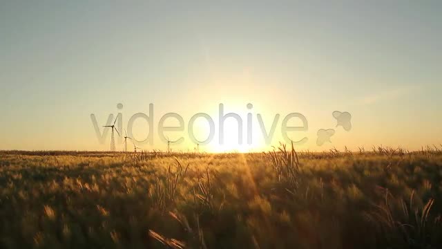 Fields Pack  Videohive 2419626 Stock Footage Image 1