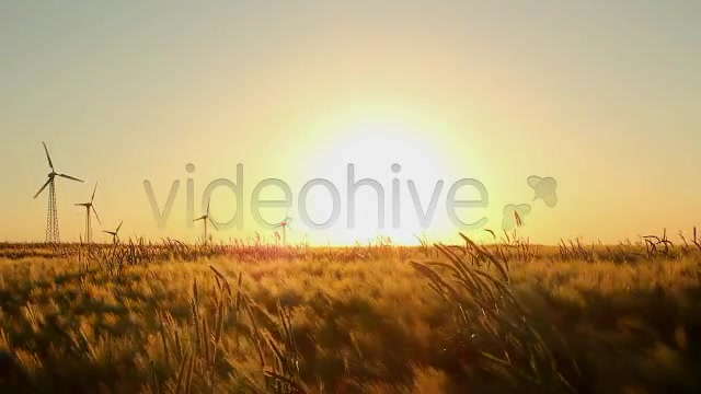 Fields Pack  Videohive 2419626 Stock Footage Image 10