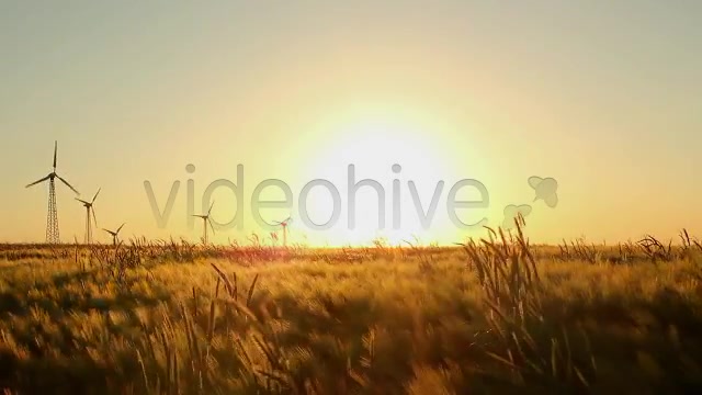 Fields Pack  Videohive 2419626 Stock Footage Image 11