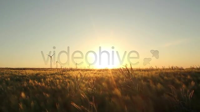 Fields Pack  Videohive 2419626 Stock Footage Image 2