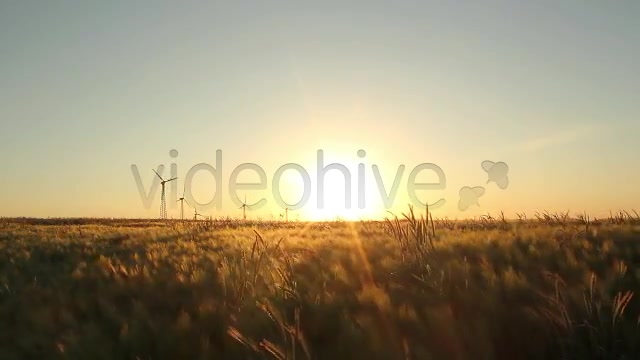 Fields Pack  Videohive 2419626 Stock Footage Image 3