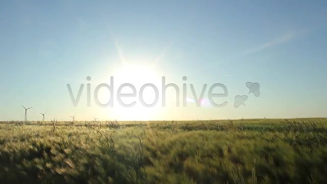 Fields Pack  Videohive 2419626 Stock Footage Image 4