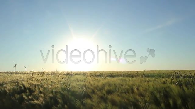 Fields Pack  Videohive 2419626 Stock Footage Image 5