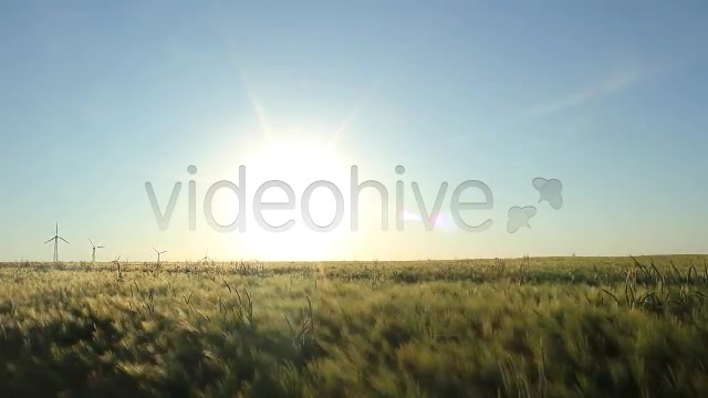 Fields Pack  Videohive 2419626 Stock Footage Image 6