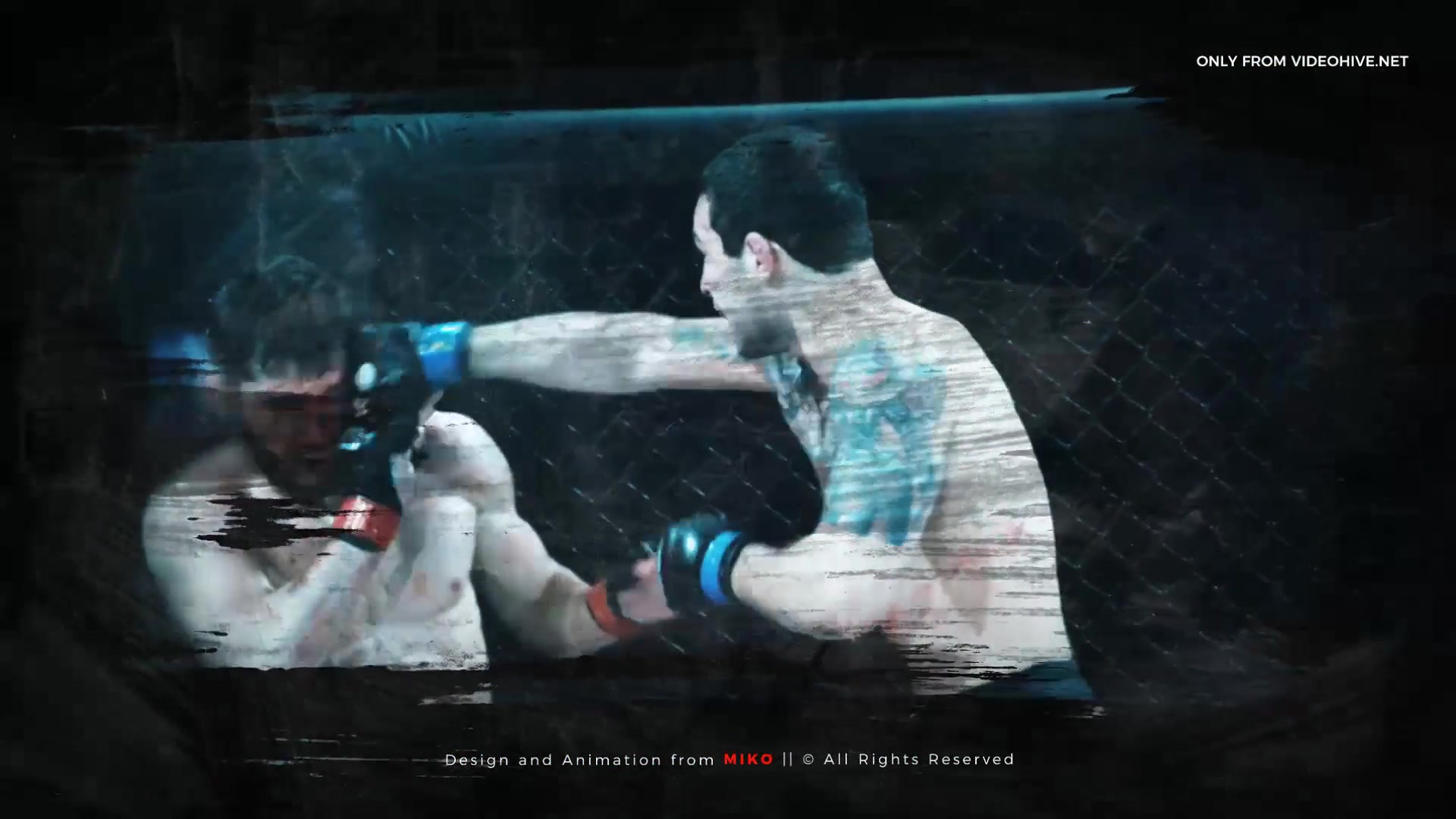 Fight Night - Download Videohive 22544055