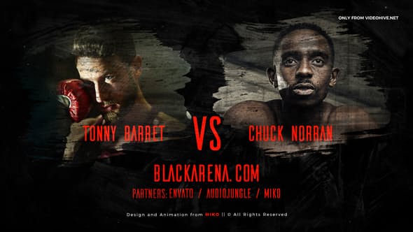 Fight Night - Download Videohive 22544055