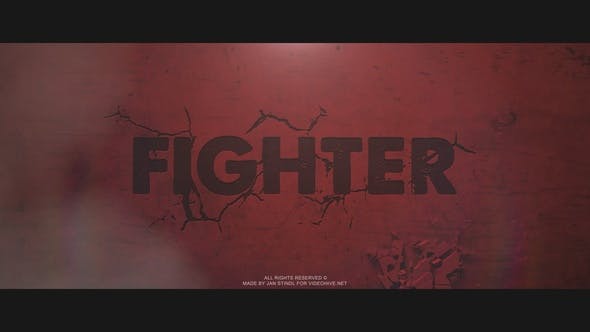 Fighter - 22379818 Videohive Download
