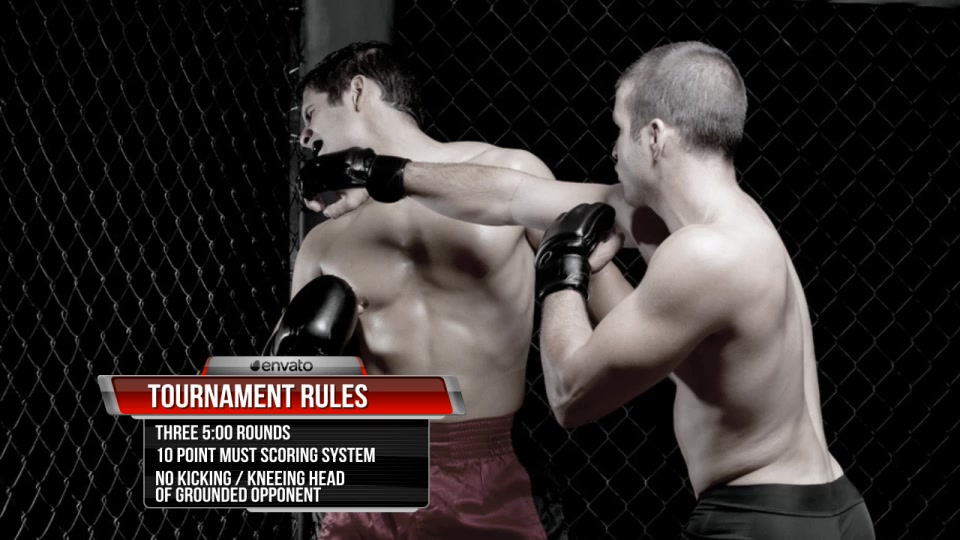 Fighting Complete On Air Package - Download Videohive 5886862