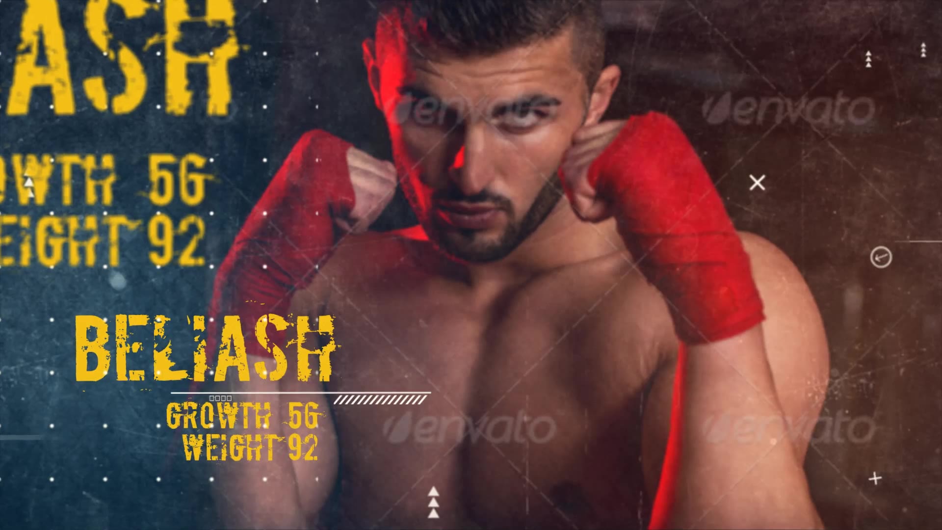 Fighting Sports Promotion - Download Videohive 10412827