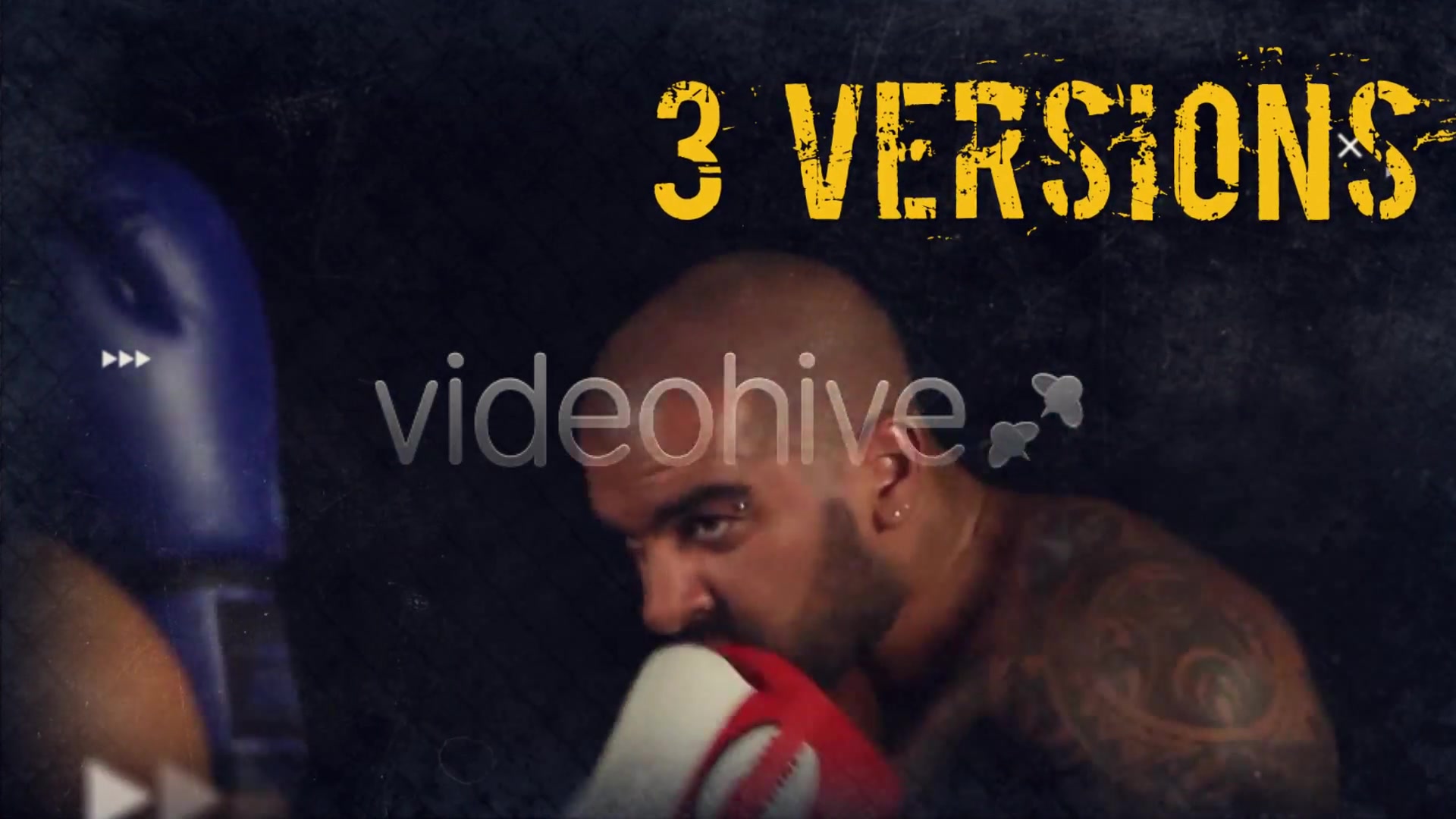 Fighting Sports Promotion - Download Videohive 10412827