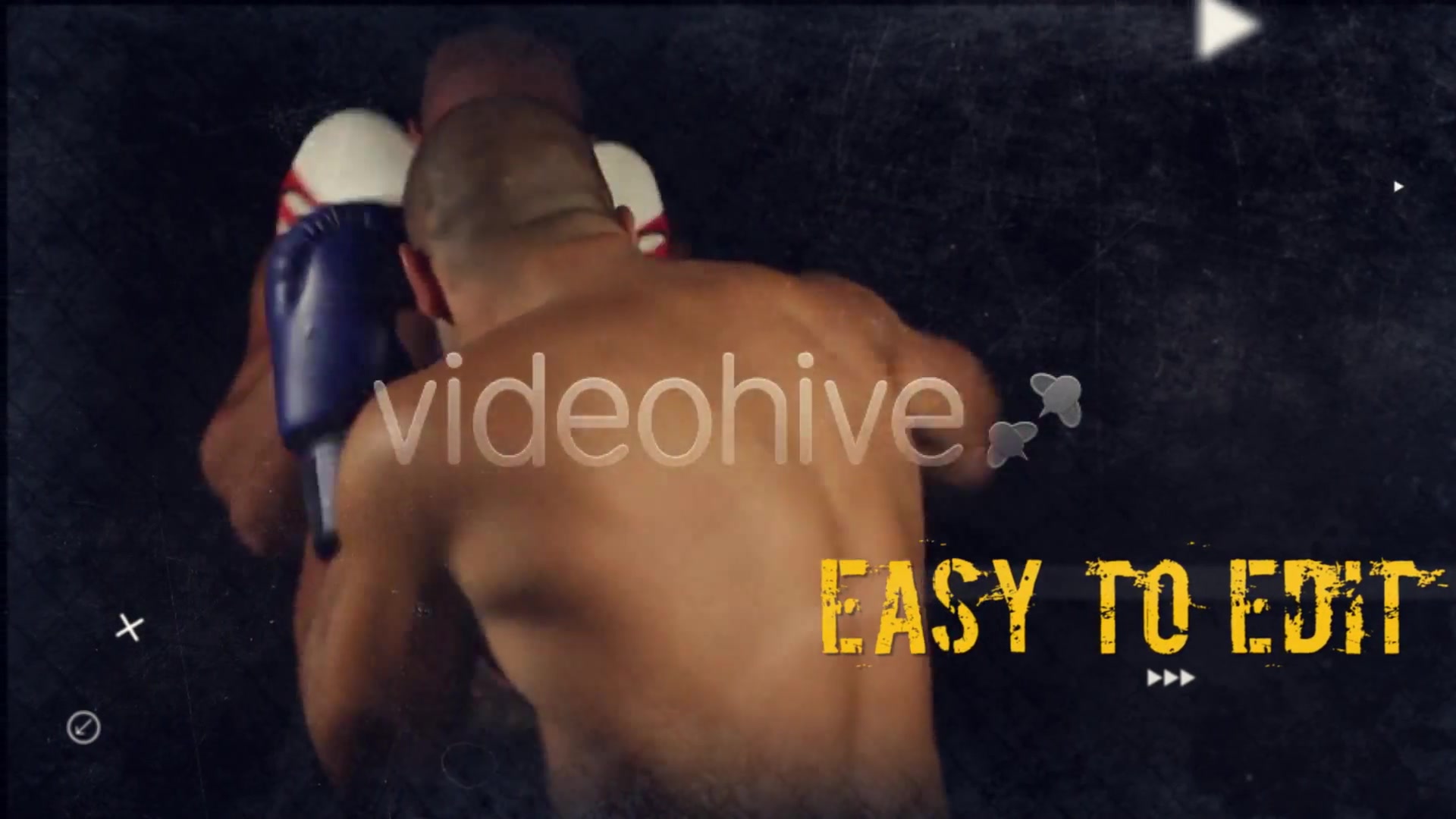 Fighting Sports Promotion - Download Videohive 10412827