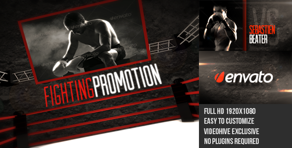 Fighting Sports Promotion - Download Videohive 4629270