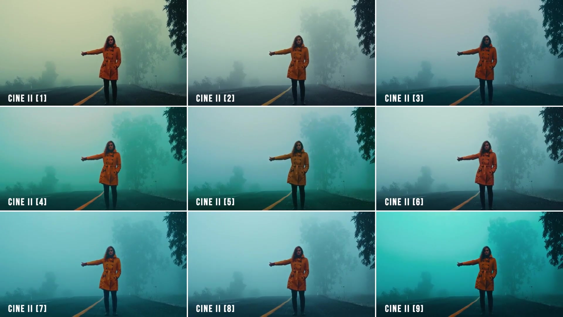 Film Looks for Final Cut Pro Videohive 27966770 Apple Motion Image 8