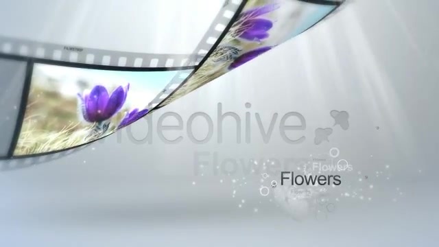 Film Strip Light - Download Videohive 820475