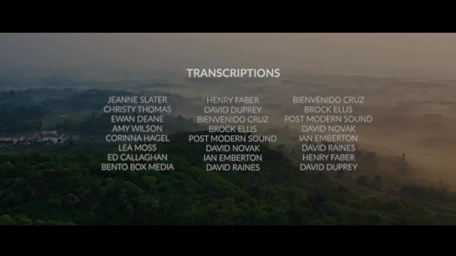 Final credits Videohive 36167265 DaVinci Resolve Image 12