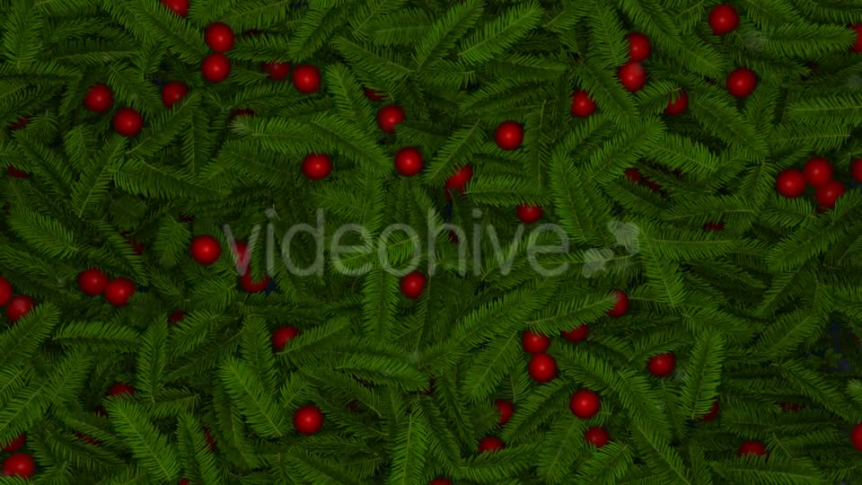 Fir and Globes Reveal - Download Videohive 9737640