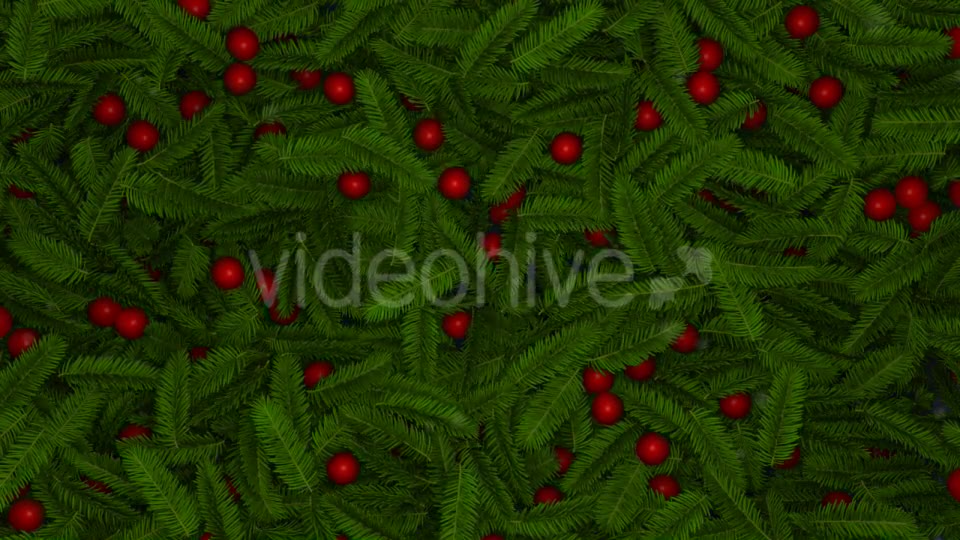 Fir and Globes Reveal - Download Videohive 9737640