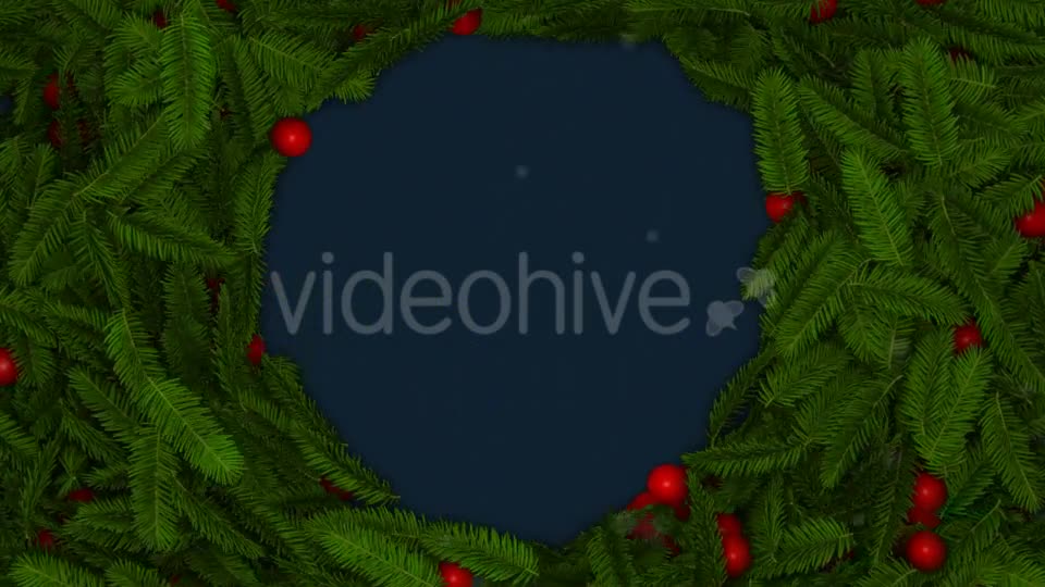 Fir and Globes Reveal - Download Videohive 9737640