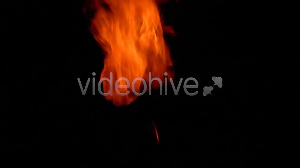 Fire  Videohive 2384398 Stock Footage Image 4