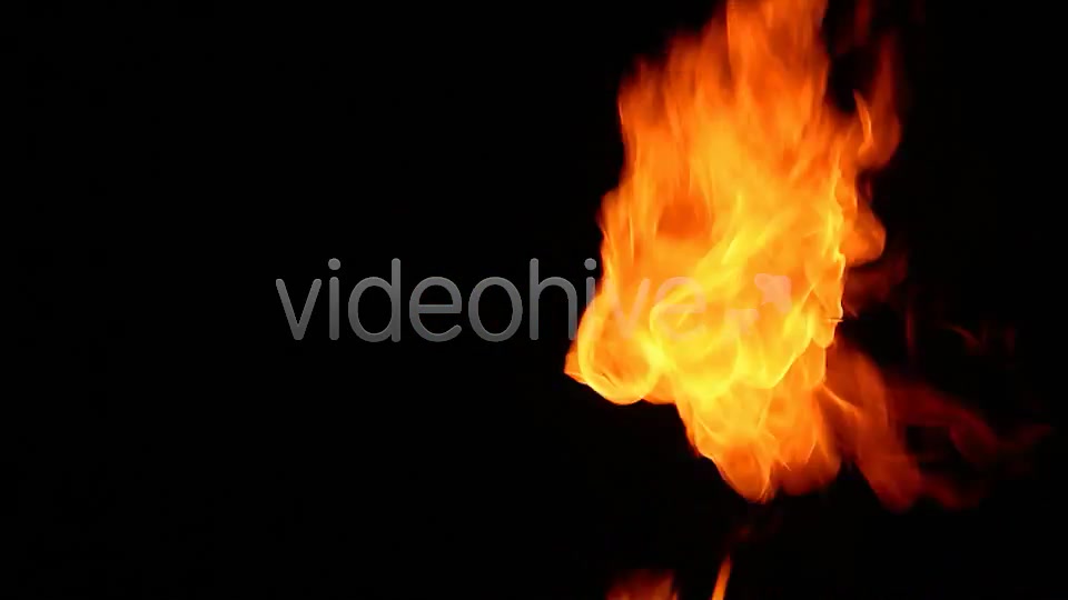 Fire  Videohive 2384398 Stock Footage Image 9